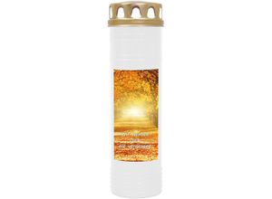 4059222037109 - Hs Candle - Grabkerze Grablicht mit Motiv ( Allee ) - ca 170h   7 Tage Brenndauer je Kerze ( 26cm ø 7cm ) - viele verschiedene Deisgns - Allee