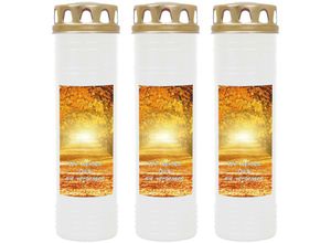 4059222037529 - Hs Candle - Grabkerze Grablicht - 3er Pack - ( Allee ) - ca 100h   4 Tage Brenndauer je Kerze ( 25cm ø 7cm ) - viele versch Deisgns - Allee