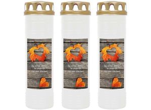 4059222037833 - Hs Candle - Grabkerze Grablicht - 3er Pack - mit Motiv ( Laub Herz ) - ca 170h   7 Tage Brenndauer je Kerze ( 26cm ø 7cm ) - viele versch Deisgns