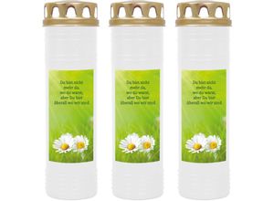 4059222037840 - Hs Candle - Grabkerze Grablicht - 3er Pack - mit Motiv ( Gänseblümchen ) - ca 170h   7 Tage Brenndauer je Kerze ( 26cm ø 7cm ) - viele versch