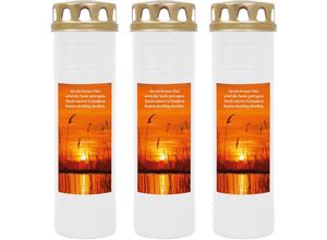 4059222037871 - Hs Candle - Grabkerze Grablicht - 3er Pack - mit Motiv ( Schilf ) - ca 170h   7 Tage Brenndauer je Kerze ( 26cm ø 7cm ) - viele versch Deisgns