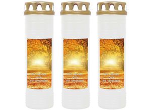 4059222037918 - Hs Candle - Grabkerze Grablicht - 3er Pack - mit Motiv ( Allee ) - ca 170h   7 Tage Brenndauer je Kerze ( 26cm ø 7cm ) - viele versch Deisgns