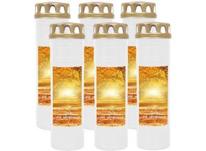 4059222038113 - Hs Candle - Grabkerze Grablicht - 6er Pack - mit Motiv ( Allee ) - ca 170h   7 Tage Brenndauer je Kerze ( 26cm ø 7cm ) - viele versch Deisgns