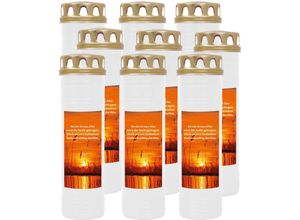 4059222038267 - Hs Candle - Grabkerze Grablicht - 9er Pack - mit Motiv ( Schilf ) - ca 170h   7 Tage Brenndauer je Kerze ( 26cm ø 7cm ) - viele versch Deisgns