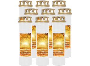 4059222038304 - Hs Candle - Grabkerze Grablicht - 9er Pack - mit Motiv ( Allee ) - ca 170h   7 Tage Brenndauer je Kerze ( 26cm ø 7cm ) - viele versch Deisgns