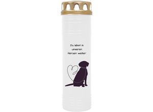 4059222039172 - Hs Candle - Grablicht Grabkerze mit Motiv im Mehrpack ( Design ) - ca 170h   7 Tage Brenndauer je Kerze ( 26cm ø 7cm ) - viele verschiedene Deisgns