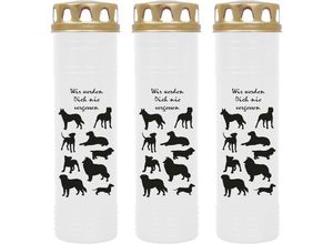 4059222039363 - Hs Candle - Grablicht Grabkerze mit Motiv im Mehrpack ( Design ) - ca 170h   7 Tage Brenndauer je Kerze ( 26cm ø 7cm ) - viele verschiedene Deisgns