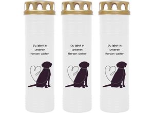 4059222039370 - Hs Candle - Grablicht Grabkerze mit Motiv im Mehrpack ( Design ) - ca 170h   7 Tage Brenndauer je Kerze ( 26cm ø 7cm ) - viele verschiedene Deisgns