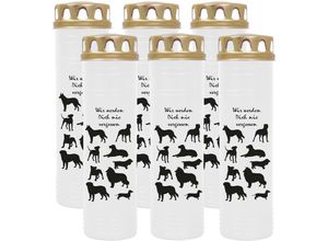4059222039585 - Hs Candle - Grablicht Grabkerze mit Motiv im Mehrpack ( Design ) - ca 170h 7 Tage Brenndauer je Kerze ( 26cm ø 7cm ) - viele verschiedene Deisgns 4059222039585 - Hs Candle - Grablicht Grabkerze mit Motiv im Mehrpack ( Design ) - ca 170h 7 Tage Brenndauer je Kerze ( 26cm ø 7cm ) - viele verschiedene Deisgns
