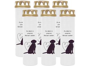 4059222039592 - Hs Candle - Grablicht Grabkerze mit Motiv im Mehrpack ( Design ) - ca 170h   7 Tage Brenndauer je Kerze ( 26cm ø 7cm ) - viele verschiedene Deisgns