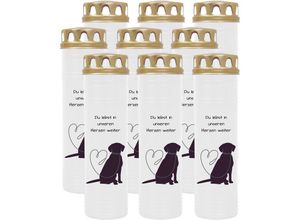 4059222039790 - Hs Candle - Grablicht Grabkerze mit Motiv im Mehrpack ( Design ) - ca 170h   7 Tage Brenndauer je Kerze ( 26cm ø 7cm ) - viele verschiedene Deisgns