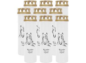 4059222039981 - Hs Candle - Grablicht Grabkerze mit Motiv im Mehrpack ( Design ) - ca 170h   7 Tage Brenndauer je Kerze ( 26cm ø 7cm ) - viele verschiedene Deisgns