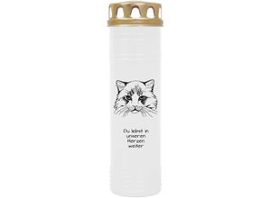 4059222040161 - Hs Candle - Grabkerze Grablicht - mit Motiv ( Katze Kopf 1 ) - ca 100h   4 Tage Brenndauer je Kerze ( 25cm ø 7cm ) - viele versch Deisgns - Katze