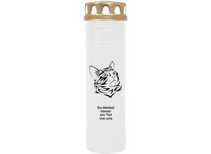 4059222040178 - Hs Candle - Grabkerze Grablicht - mit Motiv ( Katze Kopf 2 ) - ca 100h   4 Tage Brenndauer je Kerze ( 25cm ø 7cm ) - viele versch Deisgns - Katze