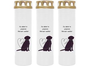 4059222040215 - Grabkerze Grablicht - 3er Pack mit Motiv ( Hund Leine ) - ca 100h   4 Tage Brenndauer je Kerze ( 25cm ø 7cm ) - viele versch Deisgns - Hund Leine