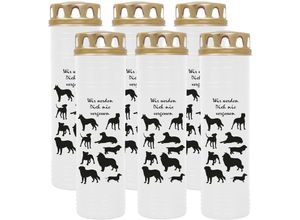 4059222040406 - Hs Candle - Grabkerze Grablicht - 6er Pack mit Motiv ( Hunde ) - ca 100h   4 Tage Brenndauer je Kerze ( 25cm ø 7cm ) - viele versch Deisgns - Hunde