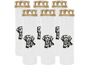 4059222040468 - Hs Candle - Grabkerze Grablicht - 6er Pack mit Motiv ( Hund Labrador ) - ca 100h   4 Tage Brenndauer je Kerze ( 25cm ø 7cm ) - viele versch Deisgns