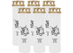 4059222040574 - Grabkerze Grablicht - 6er Pack mit Motiv ( Katze Kopf 2 ) - ca 100h   4 Tage Brenndauer je Kerze ( 25cm ø 7cm ) - viele versch Deisgns - Katze Kopf