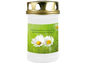 4059222042127 - Hs Candle - Grabkerze Grablicht ( Gänseblümchen ) - ca 48h   2 Tage Brenndauer je Kerze ( 145cm ø 7cm ) - versch Designs - Gänseblümchen