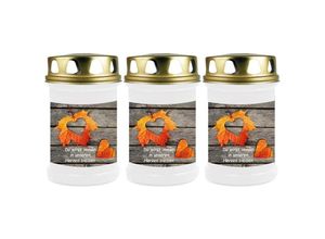 4059222042349 - Hs Candle - Grabkerze Grablicht - 3er Pack - ( Laub Herz ) - ca 48h   2 Tage Brenndauer je Kerze ( 145cm ø 7cm ) - versch Designs - Laub Herz