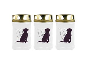 4059222042868 - Hs Candle - Grabkerze Grablicht - 3er Pack - ( Hund Leine ) - ca 48h   2 Tage Brenndauer je Kerze ( 145cm ø 7cm ) - viele versch Designs - Hund