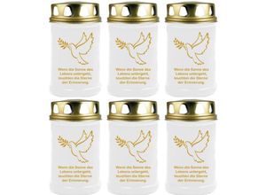 4059222043025 - Hs Candle - Grabkerze Grablicht - 6er Pack - ( Taube Gold ) - ca 48h   2 Tage Brenndauer je Kerze ( 145cm ø 7cm ) - versch Designs - Taube ( Gold )