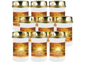 4059222043124 - Hs Candle - Grabkerze Grablicht - 9er Pack - ( Allee ) - ca 48h   2 Tage Brenndauer je Kerze ( 145cm ø 7cm ) - versch Designs - Allee