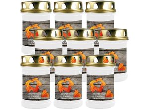 4059222043131 - Hs Candle - Grabkerze Grablicht - 9er Pack - ( Laub Herz ) - ca 48h   2 Tage Brenndauer je Kerze ( 145cm ø 7cm ) - versch Designs - Laub Herz