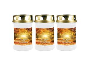 4059222043841 - Hs Candle - Grabkerze Grablicht - 3er Pack - ( Allee ) - ca 40h Brenndauer je Kerze ( 145cm ø 7cm ) - viele verschiedene Designs - Allee