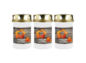 4059222043858 - Hs Candle - Grabkerze Grablicht - 3er Pack - ( Laub Herz ) - ca 40h Brenndauer je Kerze ( 145cm ø 7cm ) - viele verschiedene Designs - Laub Herz