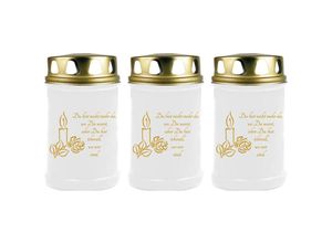 4059222043988 - Hs Candle - Grabkerze Grablicht - 3er Pack - ( Kerze Gold ) - ca 40h Brenndauer je Kerze ( 145cm ø 7cm ) - viele verschiedene Designs - Kerze (