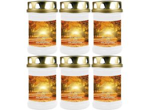 4059222044046 - Hs Candle - Grabkerze Grablicht - 6er Pack - ( Allee ) - ca 40h Brenndauer je Kerze ( 145cm ø 7cm ) - viele verschiedene Designs - Allee