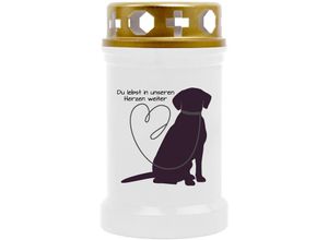 4059222044497 - Hs Candle - Grabkerze Grablicht mit Tier-Motiv ( Hund Leine ) - ca 40h Brenndauer je Kerze ( 12cm ø 6cm ) - viele verschiedene Designs - Hund Leine