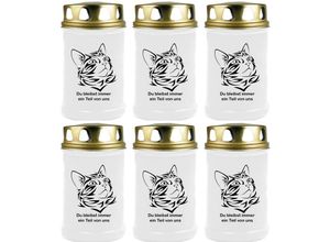 4059222045081 - Hs Candle - Grabkerze Grablicht - 6er Pack - ( Katze Kopf 2 ) - ca 48h   2 Tage Brenndauer je Kerze ( 145cm ø 7cm ) - viele versch Designs - Katze