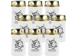 4059222045289 - Hs Candle - Grabkerze Grablicht - 9er Pack - ( Katze Kopf 2 ) - ca 48h   2 Tage Brenndauer je Kerze ( 145cm ø 7cm ) - viele versch Designs - Katze