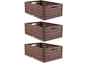 4059222064716 - Stabile Faltbox 3er Pack Holzdesign 60 x 40 x 218cm ( LxBxH ) Stapelbarer Faltbarer Einkaufskorb 45L - Robuste Klappkiste - Gemüsekiste Obstkiste