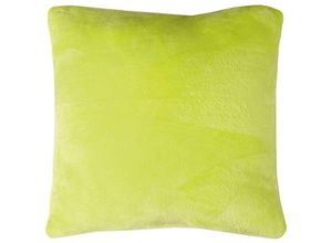 4059222177898 - Bestlivings - Kissenhülle Kuschel Celina in der Größe 60 x 60cm - Grün - Kissenbezug mit Reißverschluss - Grün