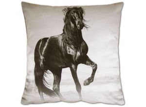 4059222215576 - Dekokissen Fotodruck Motiv in 40x40 cm Flauschig weiches Kissen in vielen Motiven erhältlich ( Design Pferd ) - Pferd