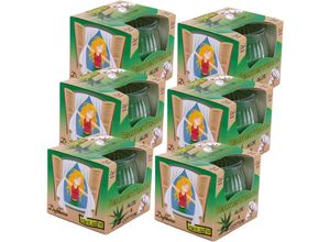 4059222252953 - Hs Candle - Duftkerze Raumerfrischer 6er Pack im Glas lange Brenndauer und angenehmer Duft ( Aloe Cotton ) - Grün