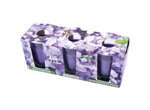 4059222253028 - Hs Candle - Duftkerzen Classic 3er Pack im Glas lange Brenndauer und angenehmer Duft ( Lavendel ) - Violett