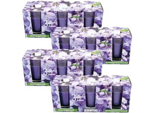 4059222253073 - Hs Candle - Duftkerzen Classic 12er Pack im Glas lange Brenndauer und angenehmer Duft ( Lavendel ) - Violett