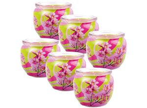 4059222253455 - Hs Candle - Duftkerzen Motiv 6er Pack im Glas lange Brenndauer und angenehmer Duft ( Blütenzauber ) - Pink