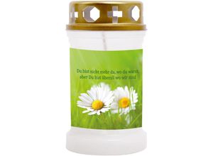 4059222257897 - Hs Candle - 10er Pack Grabkerzen mit Motiv Grablicht mit Brenndauer von ca 40 Std Motiv Gänseblümchen in vielen weiteren Varianten - Weiß