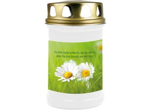 4059222258009 - Hs Candle - 8er Pack Grabkerzen mit Motiv Grablicht mit Brenndauer von ca 2 Tage Motiv Gänseblümchen in vielen weiteren Varianten - Weiß