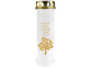 4059222258054 - Hs Candle - 5er Pack Grabkerzen mit Motiv Grablicht mit Brenndauer von ca 4 Tage Motiv Baum Gold in vielen weiteren Varianten - Weiß