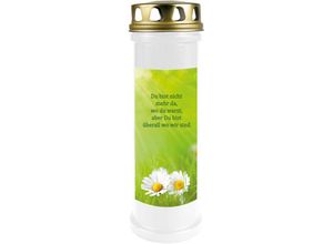 4059222258115 - Hs Candle - 5er Pack Grabkerzen mit Motiv Grablicht mit Brenndauer von ca 4 Tage Motiv Gänseblümchen in vielen weiteren Varianten - Weiß