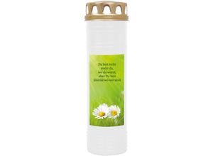 4059222258221 - Hs Candle - 4er Pack Grabkerzen mit Motiv Grablicht mit Brenndauer von ca 7 Tage Motiv Gänseblümchen in vielen weiteren Varianten - Weiß