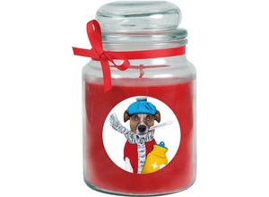 4059222279646 - Hs Candle - Duftkerze im Bonbonglas Gute Besserung Duft Rose ( Rot ) 500g - Brenndauer bis zu 110 Stunden Kerze aus Glas mit Duft - Rot