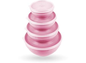 4059222287344 - Frischhaltedosen mit Deckel 4er Set ( 500ml - 25L ) Rosa - Vorratsdosen mikrowellen- und spülmaschinenfest gefriertauglich Lebensmittelbehälter