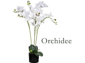 4059419134536 - Künstliche Blumen Orchidee Orchideen Pflanzen Kunstpflanze Kunstblumen Künstlich Pflanze Weiß mit Topf Deko 75 cm Decovego